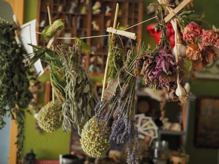 Fresh VS. Dried Herbs, Which one is Better?