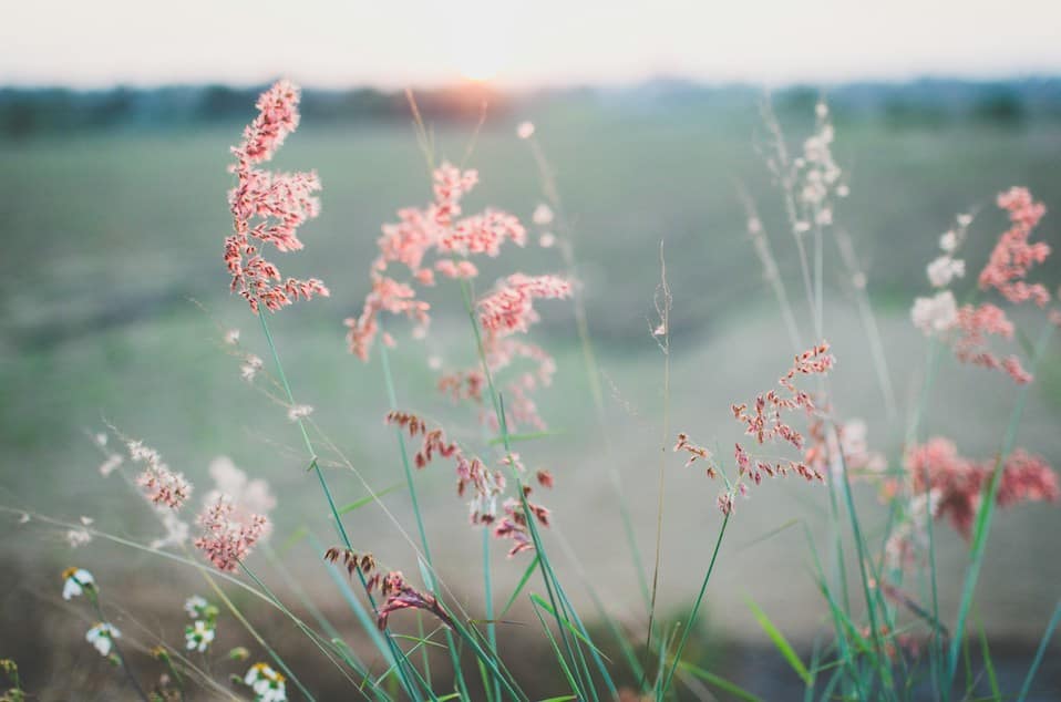 Finding Inner Peace Amidst Chaos: Practical Tips for Maintaining Balance